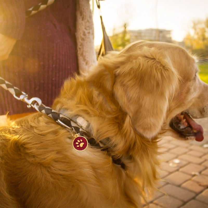 🐾 بطاقات تحديد اسم الكلب من سبائك الزنك متينة مع فتحة تعليق سهلة - Image 4
