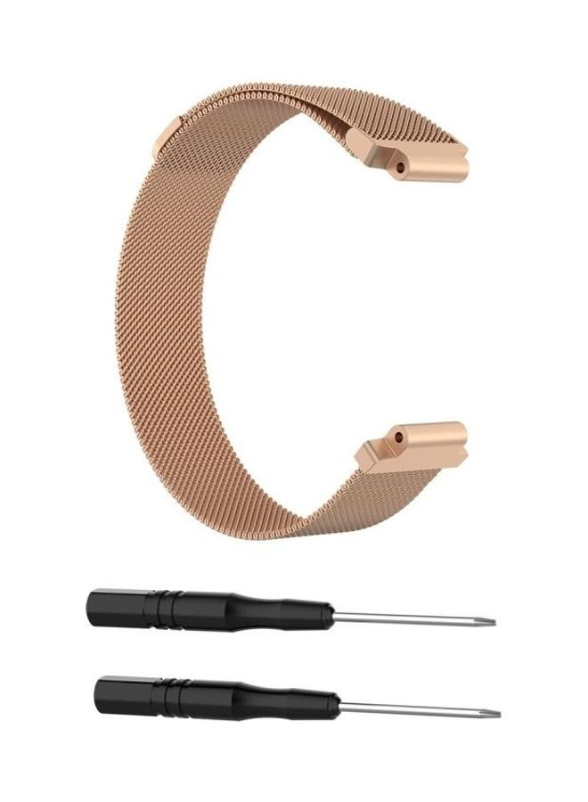 NIBEMINENT Stainless Steel Waist Strap Watch Band Gold - Image 4