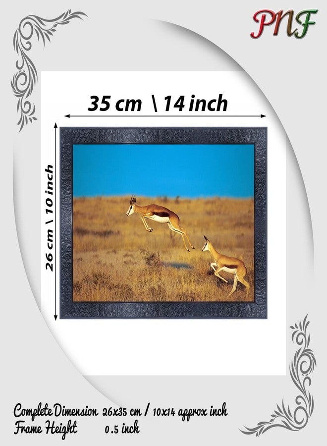 pnf Poster And Frames Deer Wall Painting With Acrylic Sheet | For Living Room, Bedroom | Home Decoration Item | Best Gifting Option (10 * 14inch,Multicolour,Synthetic) 3606 - Image 2