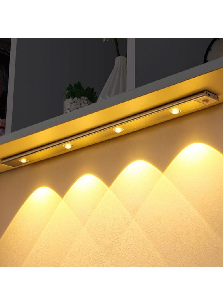 Loquat Cabinet Light USB Rechargeable Motion Sensor Led Light For Kitchen Wardrobe Cabinet Lighting 40cm - Image 1