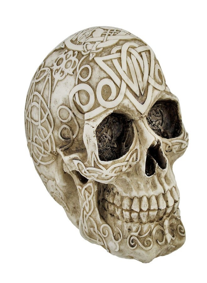 Private Label Celtic Owl Knotwork Human Skull Statue Pagan - Image 1