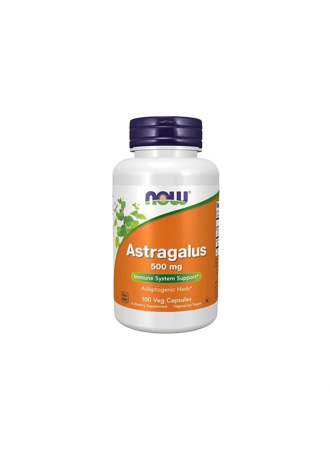 now Supplements, Astragalus (Astragalus membranaceus) 500 mg, Immune System Support*, 100 Capsules - Image 1