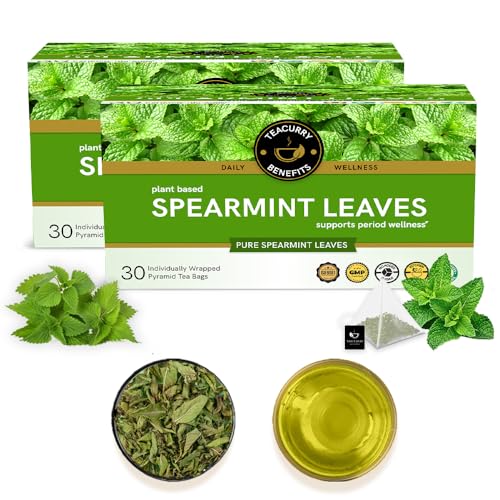 TEACURRY Spearmint Tea Bag - Helps With Hormonal Imbalance, Facial Hair, And Memory | Spearmint Tea Leaves (60 Tea Bags - 2 Month Pack), 60 Grams - Image 1
