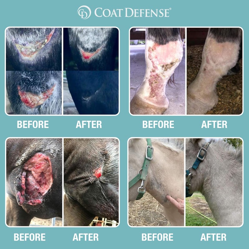 COAT DEFENSE Trouble Spot Drying Paste for Horses - Natural Equine Wound Care That Provides Safe & Effective Relief from Scratches, Sweet Itch, Summer Sores, Proud Flesh, Mud Fever, Girth Rot (10 Oz) - Image 5