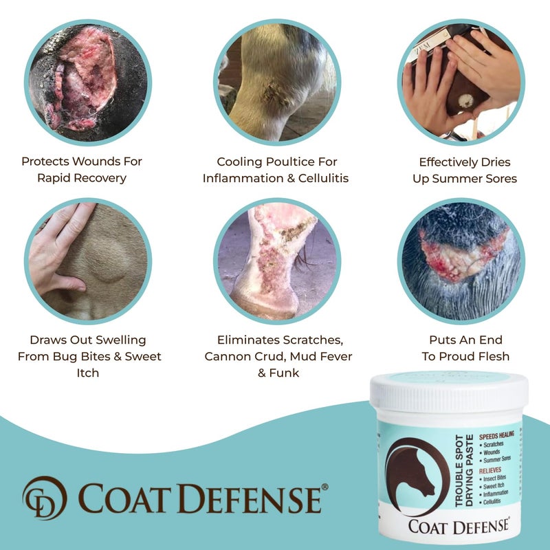 COAT DEFENSE Trouble Spot Drying Paste for Horses - Natural Equine Wound Care That Provides Safe & Effective Relief from Scratches, Sweet Itch, Summer Sores, Proud Flesh, Mud Fever, Girth Rot (10 Oz) - Image 2