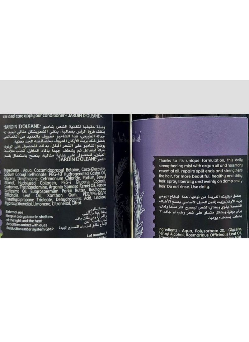 Argan Oil - Rosemary Shampoo 380ml With Hair Strengthening Spray 250ml - Image 1