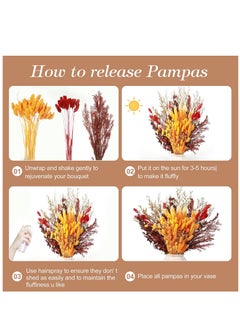 Y&D Dried Pampas Grass 100 Pcs Boho Natural Flowers Arrangements eucalyptus wheat Billy ball Bunny Tails for Home Decor Flower Living Room Balcony Wedding Party  - Image 4