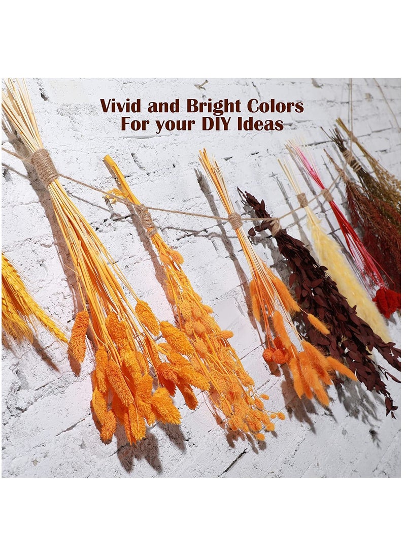 Y&D Dried Pampas Grass 100 Pcs Boho Natural Flowers Arrangements eucalyptus wheat Billy ball Bunny Tails for Home Decor Flower Living Room Balcony Wedding Party  - Image 3