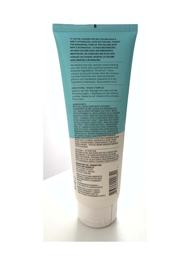 Acure Vivacious Volume Shampoo - Peppermint 236 Ml - Image 2