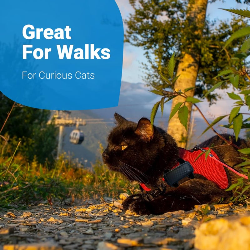 Tractive GPS Cat 4 Tracker harness Attachment, for Cat Walks with Peace of Mind, Velcro Straps, Black - Image 5