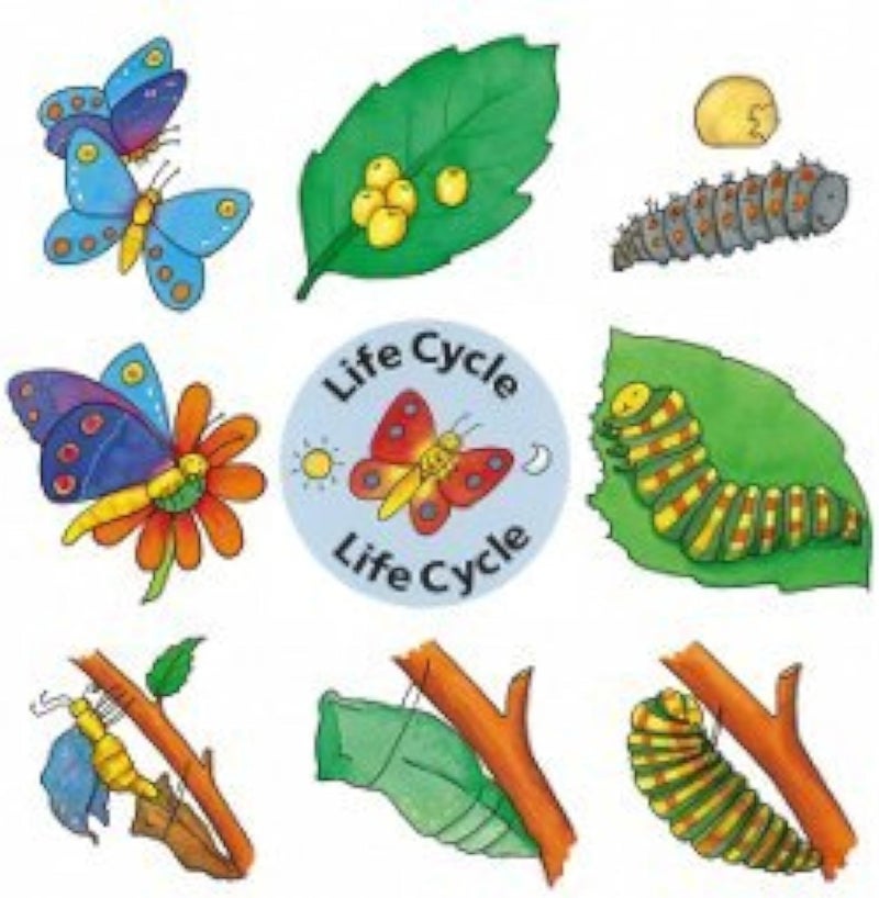JJ Lifecycles Jigsaw Puzzles Set of 4