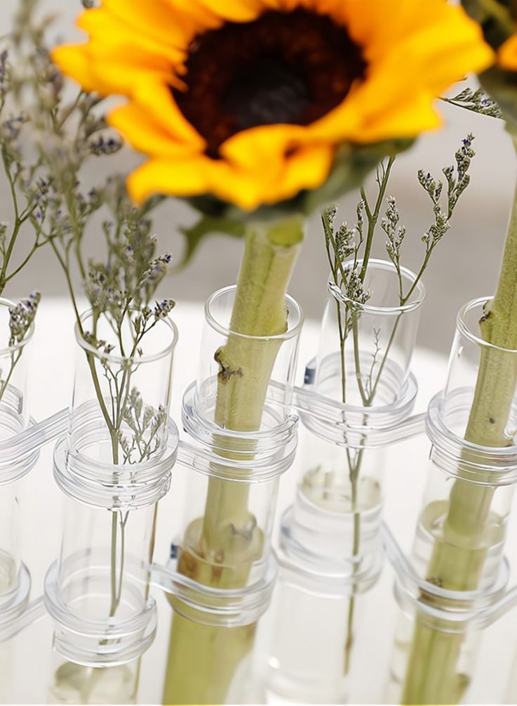 Y&D Test Tube Vase, Glass Flower Vases Hydroponic Vase Desktop Plant Terrarium Planter 18x3CM - Image 4