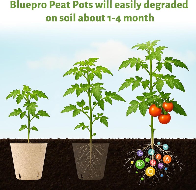 Bluepro 120 Packs 3.15 Inch Peat Pots, Biodegradable Pots for Seedlings with Drainage Holes, Herb Seed Starter - Image 4