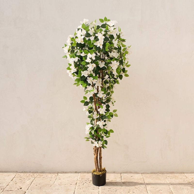 DANUBE HOME Bougainvillea Plant - 180Cm, White, Graceful Plant, Polyester/Plastic ,For Adding Lifelike Greenery, Decorating Homes, Offices, Balconies, Patios - Image 1