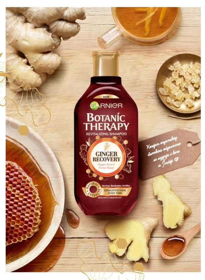 Garnier Botanic Therapy Revitalizing Shampoo with Ginger Root & Honey for Exhausted Hair - silicone free