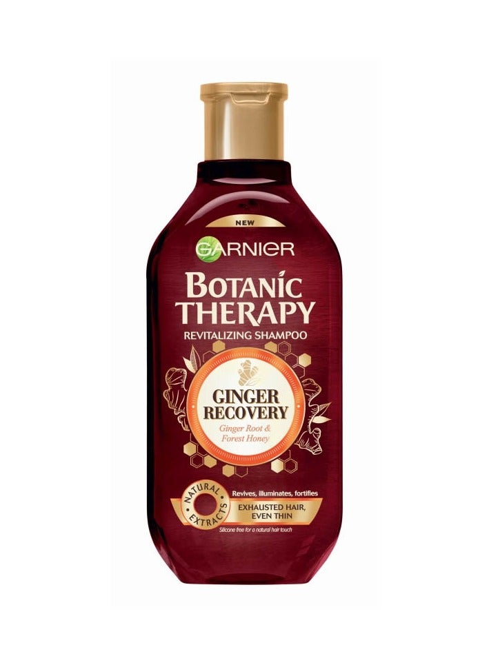 Garnier Botanic Therapy Revitalizing Shampoo with Ginger Root & Honey for Exhausted Hair - silicone free