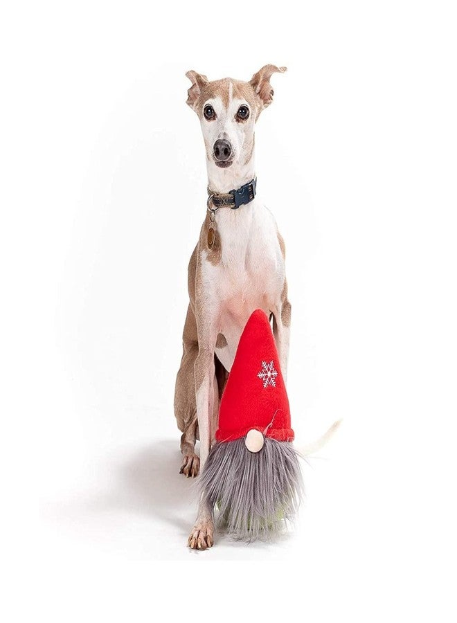 Midlee Gnome Hidden Ball Christmas Dog Toy- Plush Squeaky Gift - Image 3