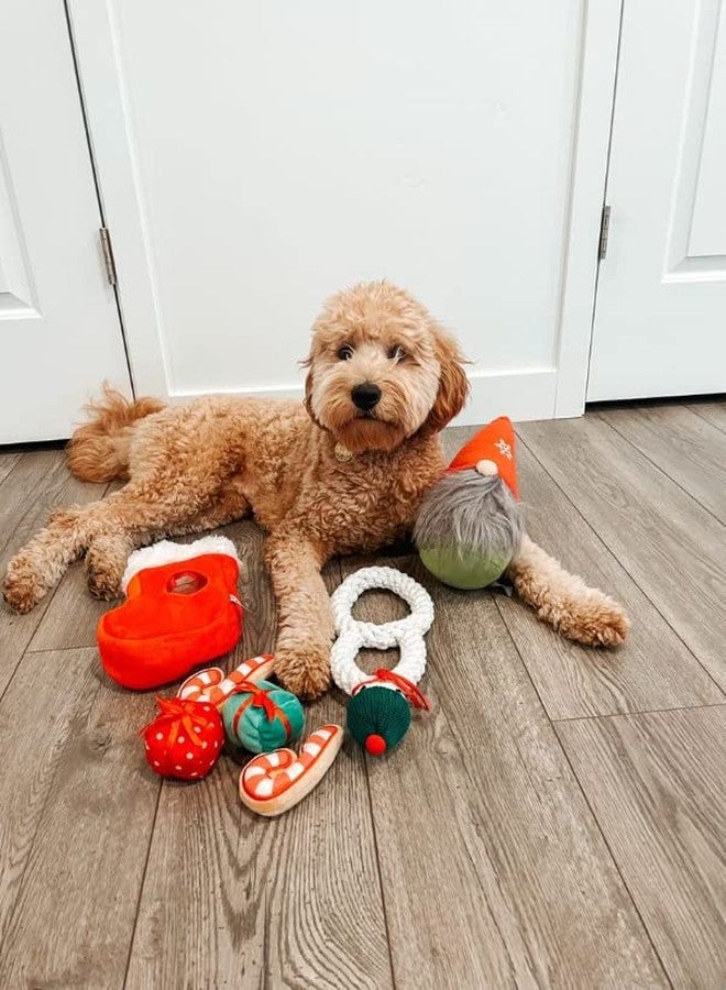 Midlee Gnome Hidden Ball Christmas Dog Toy- Plush Squeaky Gift - Image 4