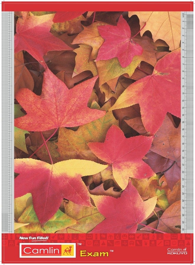 Camlin Notebook - A5, Soft Cover, Brown, 172 Pages, 240x180mm, Single line - Image 3
