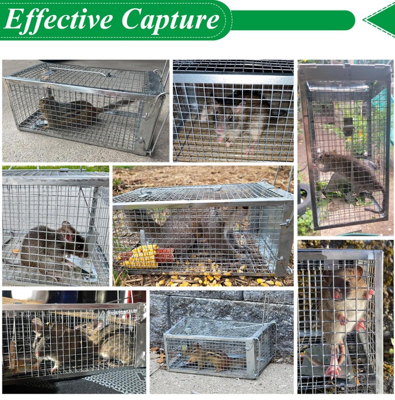 Wanqueen 2 Packs Humane Rat Trap Outdoor, Wanqueen Humane Mouse Traps Indoor for Home, Small Rodent Chipmunk Trap and Other Live Animal Cage Catch and Release - Image 3