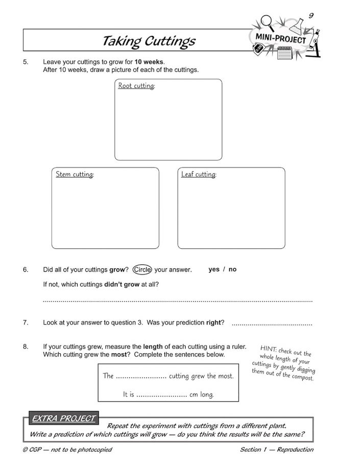 KS2 Science Year Five Workout: Life Cycles & Reproduction  - Image 5
