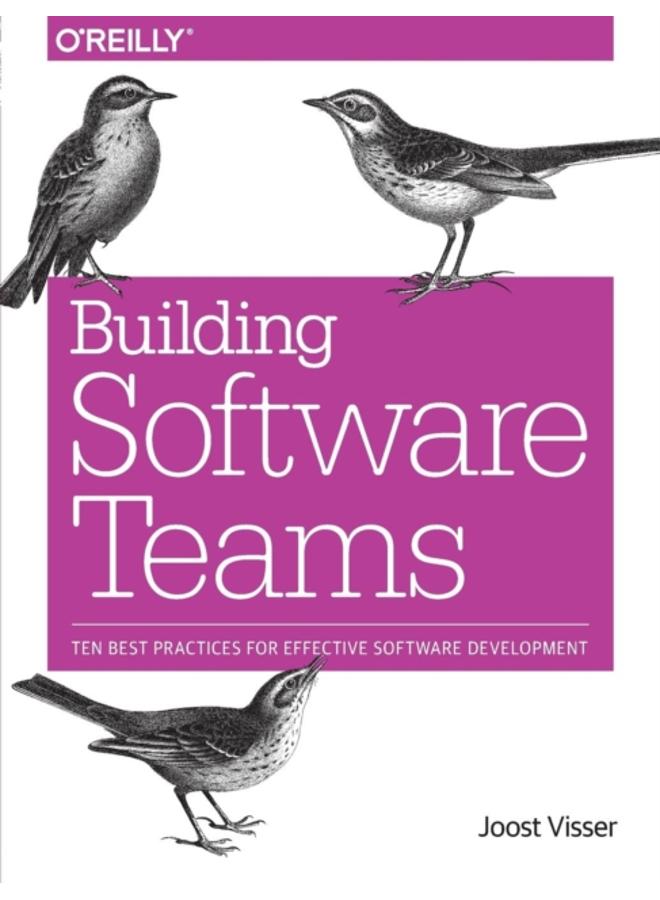 Building Software Teams 