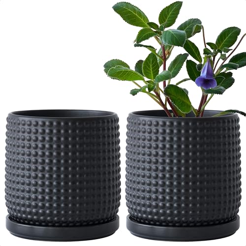 D'vine Dev Set of 2 Ceramic Plants Pots, 6 Inch Beaded Stoneware Flower Pot for Plants with Drainage Hole and Saucer, Ebony Matte, 27-E-X-6 - Image 1