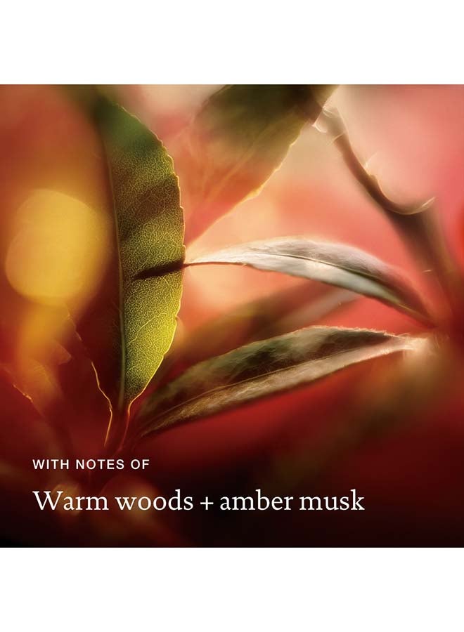 Living Proof Velvet Amber Advanced Clean Dry Shampoo - Image 3