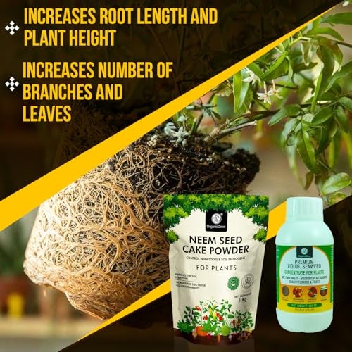 OrganicDews Enriched Neem Seed Cake Powder 1 Kg + Liquid Seaweed Fertilizer 250 ml Bio Stimulant - Plant Growth Enhancer, Soil Conditioner, Increases Soil Fertility for Indoor & Outdoor Plants - Image 4