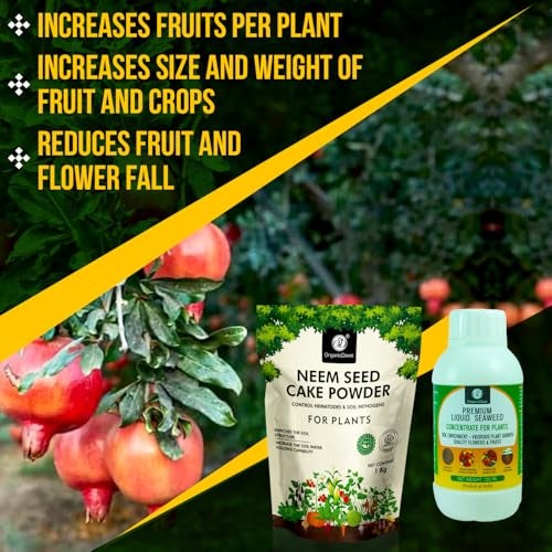 OrganicDews Enriched Neem Seed Cake Powder 1 Kg + Liquid Seaweed Fertilizer 250 ml Bio Stimulant - Plant Growth Enhancer, Soil Conditioner, Increases Soil Fertility for Indoor & Outdoor Plants - Image 3