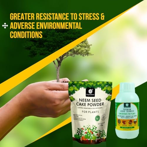 OrganicDews Enriched Neem Seed Cake Powder 1 Kg + Liquid Seaweed Fertilizer 250 ml Bio Stimulant - Plant Growth Enhancer, Soil Conditioner, Increases Soil Fertility for Indoor & Outdoor Plants - Image 5