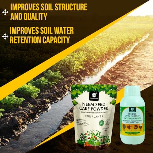 OrganicDews Enriched Neem Seed Cake Powder 1 Kg + Liquid Seaweed Fertilizer 250 ml Bio Stimulant - Plant Growth Enhancer, Soil Conditioner, Increases Soil Fertility for Indoor & Outdoor Plants - Image 2