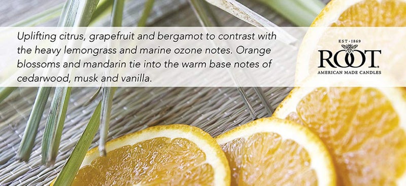 Root Candles Scented Candles Honeycomb Beeswax Blend Premium Handcrafted Candle, Large Veriglass, Tangerine Lemongrass - Image 3