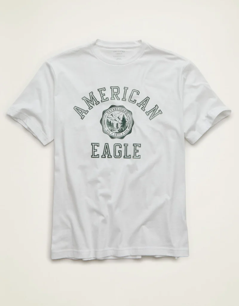 American Eagle AE Standard Fit Graphic Logo T-Shirt