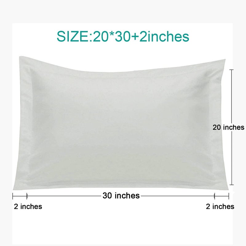 إن تي باي Ntbay Queen Pillow Shams - 2 Pack Microfiber 20x30 Coverings - Super Super and Dozy Growner Resistant 20x30 Indcses Oxford Plowcases Lay  - Image 3