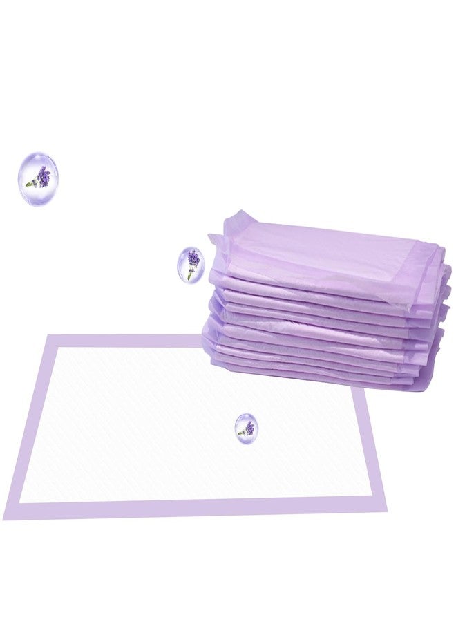IMMCUTE Cat Pee Pads - 16.9" x 11.4", 10 Ct | Thickened 6-Layer Super Absorbent Pads for Litter Box - Image 1