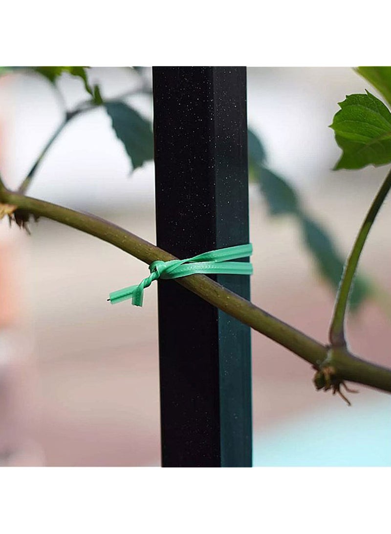 Planting green sticks - Image 3