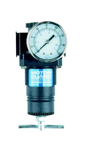 Motor Guard RG4520 1/2 NPT Compressed Air Regulator - Image 1