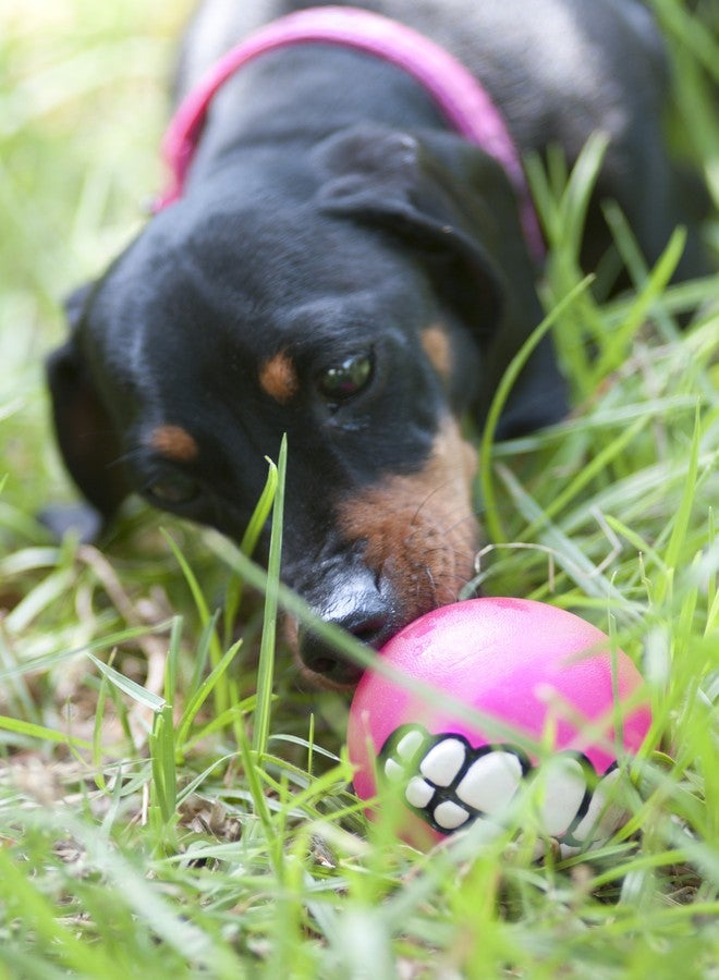 Rogz Fun Dog Treat Ball in various sizes and colors, Medium, Pink - Image 3