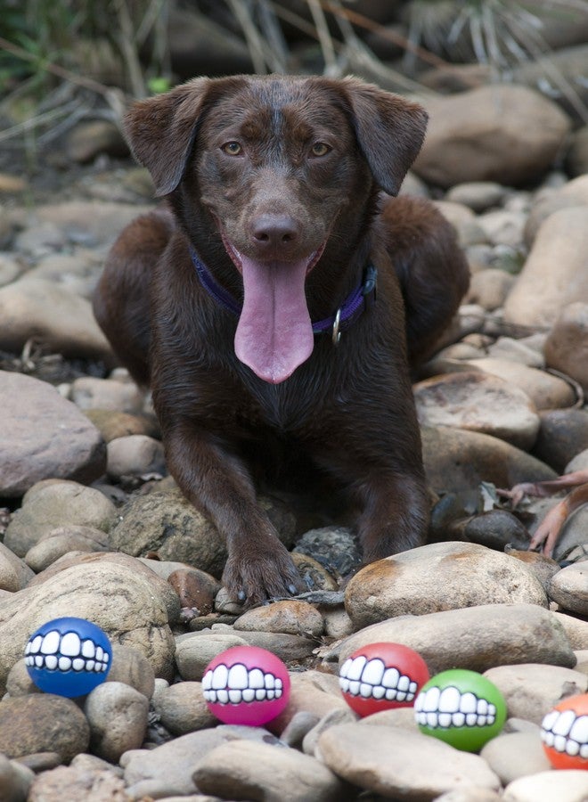Rogz Fun Dog Treat Ball in various sizes and colors, Medium, Pink - Image 4