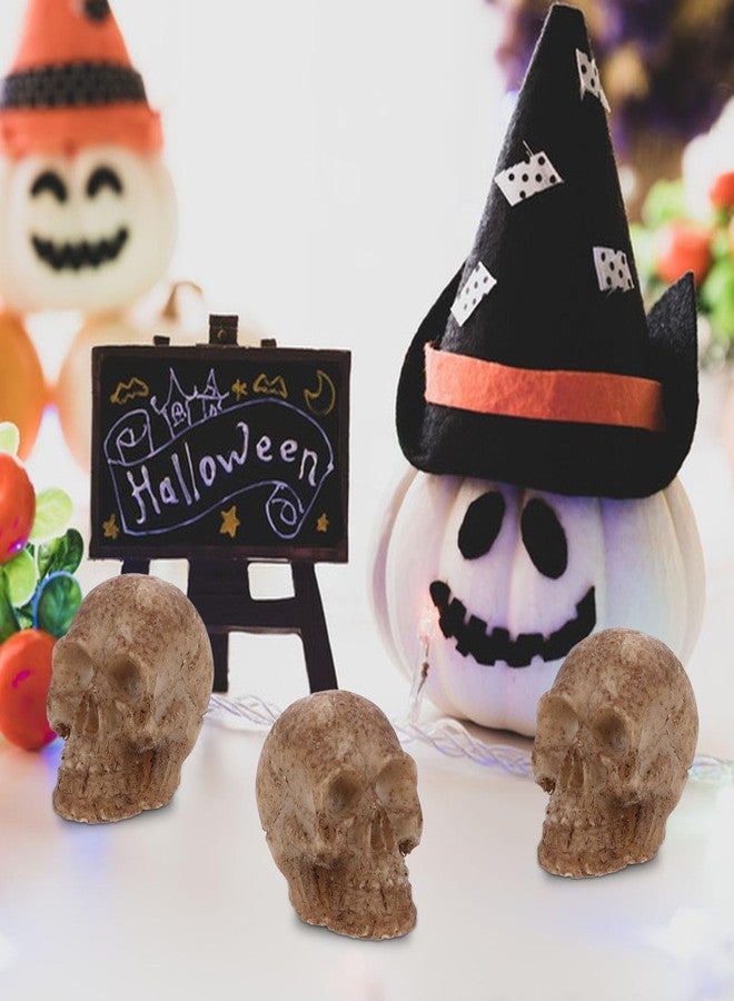 FOMIYES 20pcs Mini Resin Skull Heads Realistic Skull Head Models Halloween Miniature Skeleton Bone Prank Props for Halloween Treat or Trick Accessories - Image 5