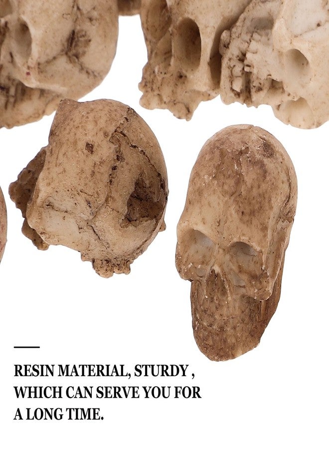 FOMIYES 20pcs Mini Resin Skull Heads Realistic Skull Head Models Halloween Miniature Skeleton Bone Prank Props for Halloween Treat or Trick Accessories - Image 3