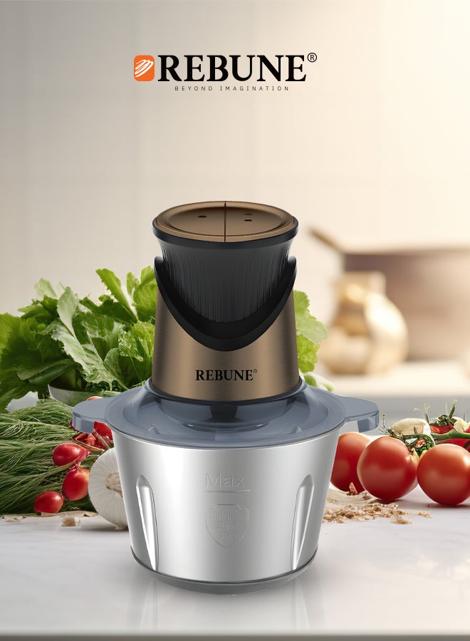 REBUNE Stainless Steel Meat And Vegetable Chopper 2 L 350 W RE-2-165 Brazen - Image 3