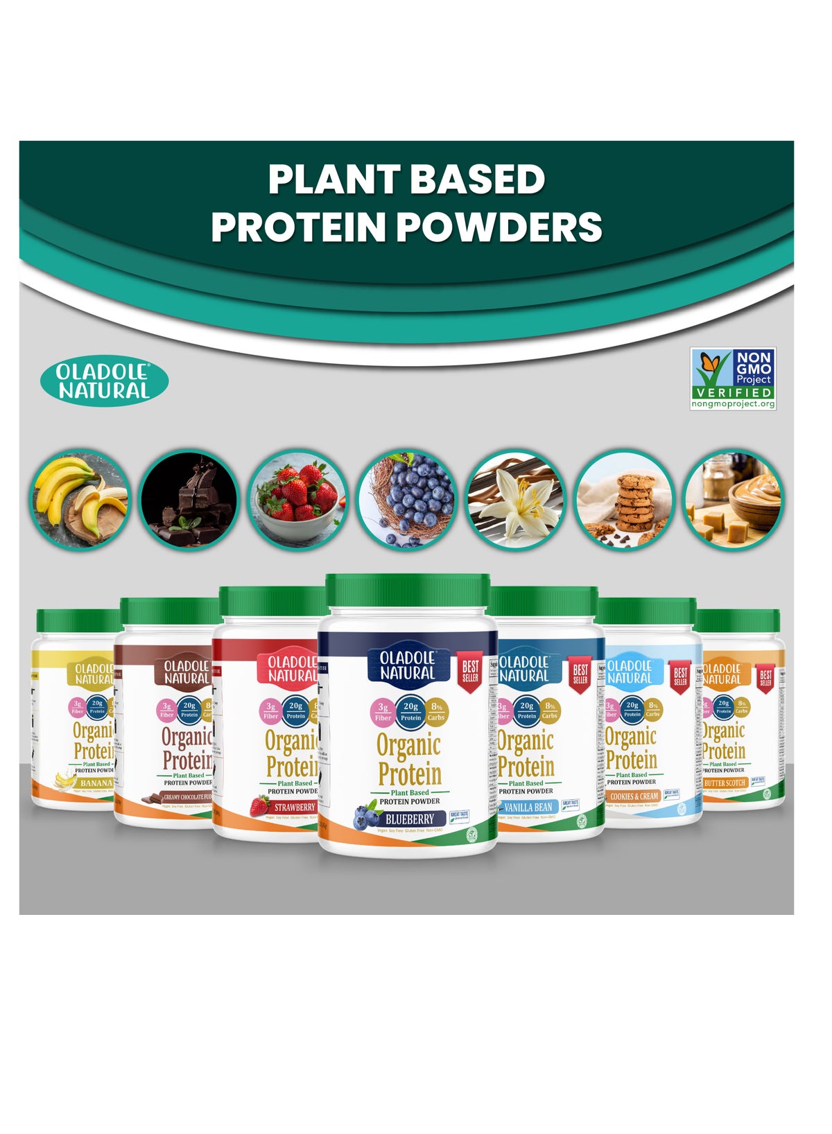 Organic Plant Based Protein Powder - 1Kg (Blueberry)