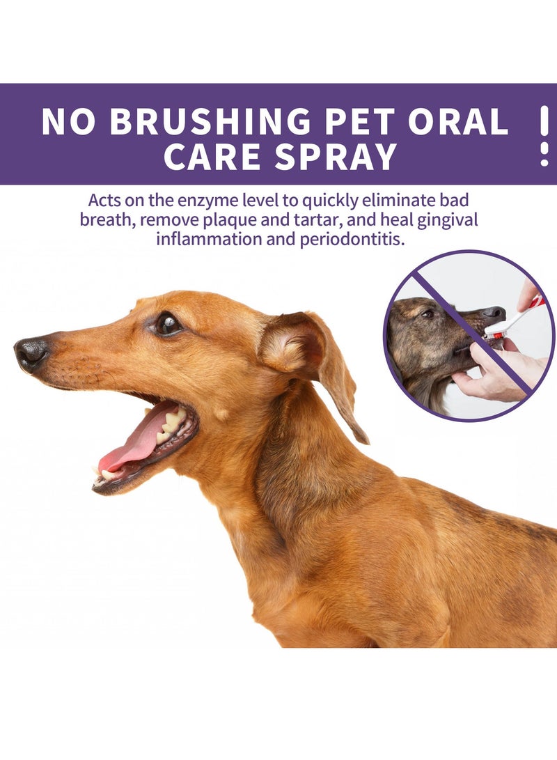 YEGBONG Pet Teeth Cleaning Spray Pet Oral Cleaner Fresh Breath Deodorizing Deodorizing Cleaner - Image 4