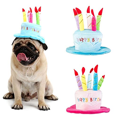 Secfanya Cute Adorable Dog Cat Birthday Cake Hat Pet Cap Headwear Hat with 5 Color Candles Design Party Custom Accessory (One Size fits Most) (Blue) - Image 1