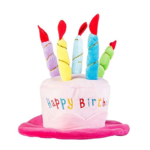 Secfanya Cute Adorable Dog Cat Birthday Cake Hat Pet Cap Headwear Hat with 5 Color Candles Design Party Custom Accessory (One Size fits Most) (Blue) - Image 3