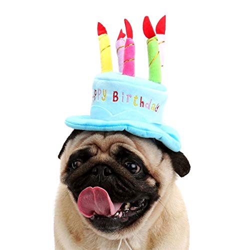 Secfanya Cute Adorable Dog Cat Birthday Cake Hat Pet Cap Headwear Hat with 5 Color Candles Design Party Custom Accessory (One Size fits Most) (Blue) - Image 2