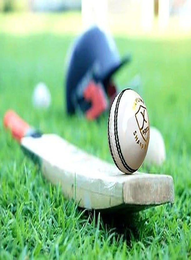 BOXCO Skyline Hand Made Four Piece Cricket Leather Ball for Club, T20, One Day, Test Cricket Matches (Pack of 6) (White) - Image 2