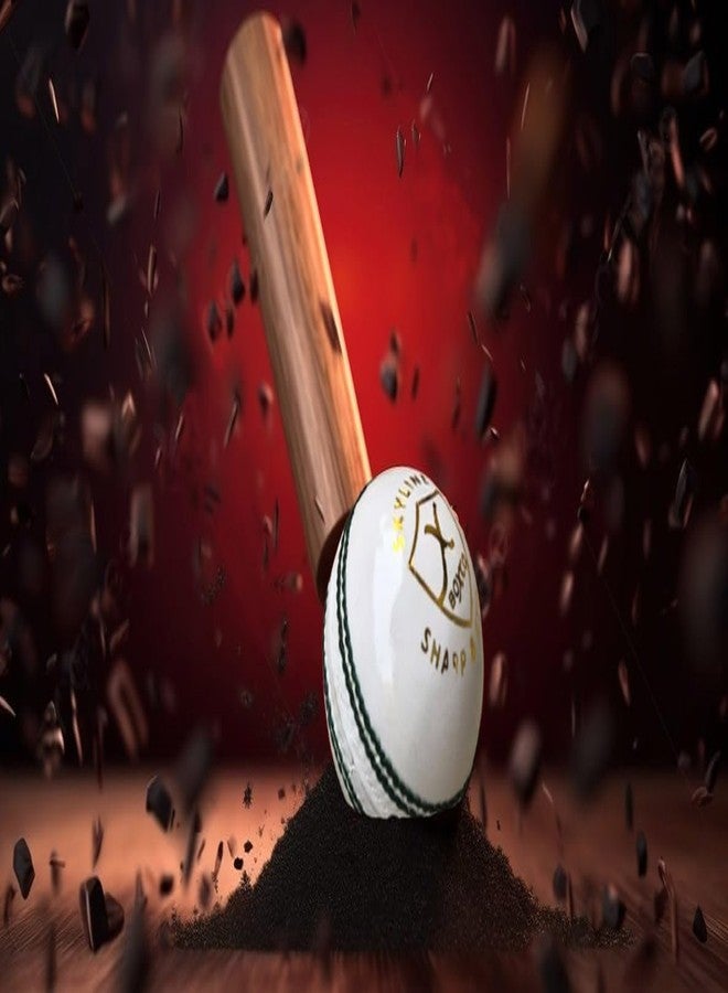 BOXCO Skyline Hand Made Four Piece Cricket Leather Ball for Club, T20, One Day, Test Cricket Matches (Pack of 6) (White) - Image 3